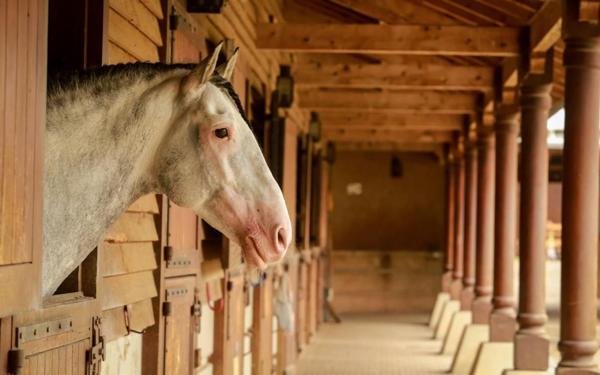 Centre national du cheval de Merens